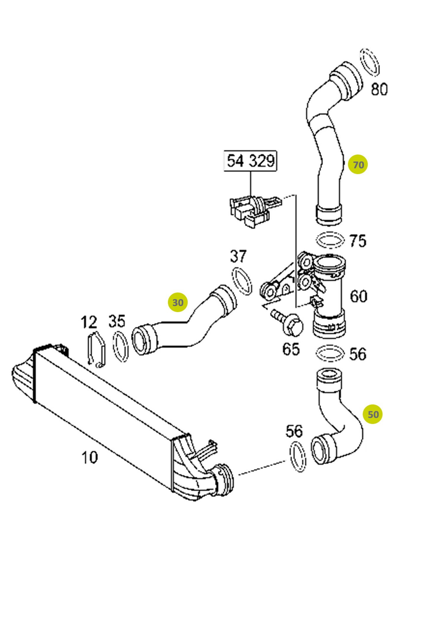 Pressure Hose 88.700.560