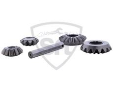 Differential Gear Set