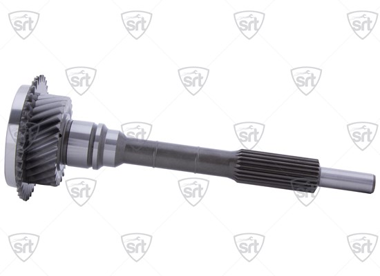 Input Shaft