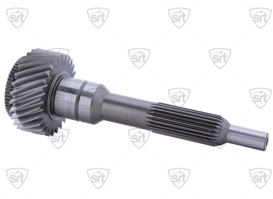 Input Shaft