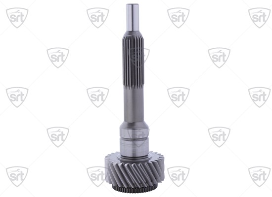 Input Shaft