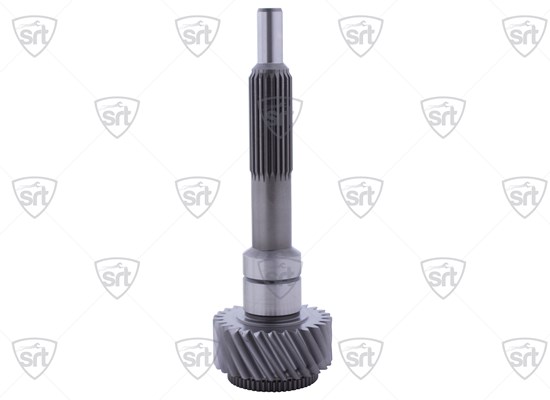 Input Shaft