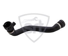 Radiator Lower Hose