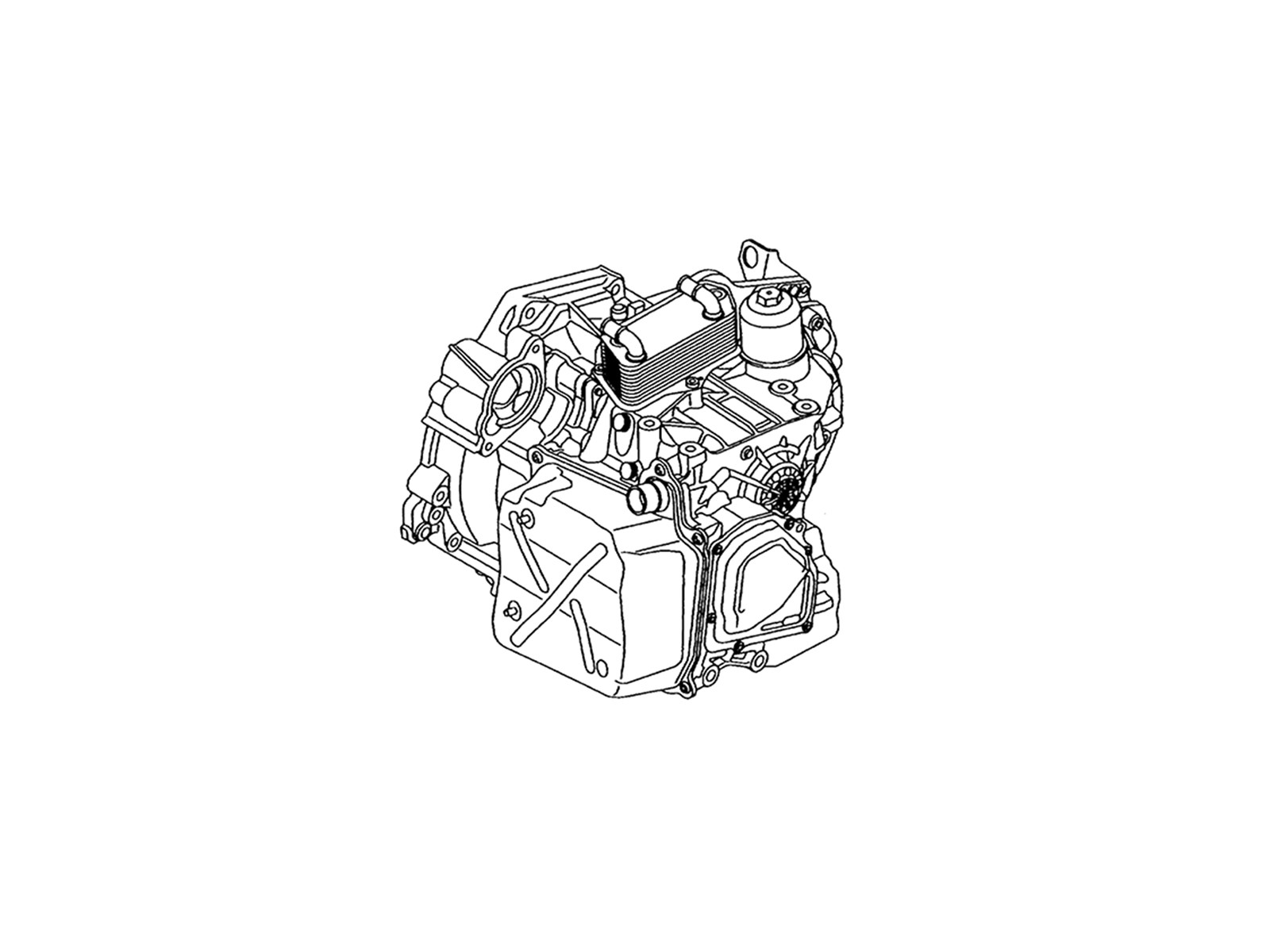 Differential Spider Gear 25.100.150